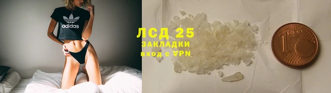 винт Козловка