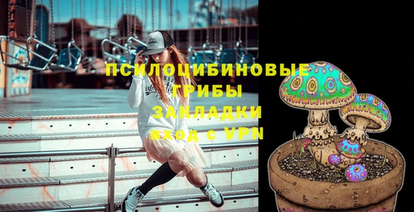 дурь Кодинск